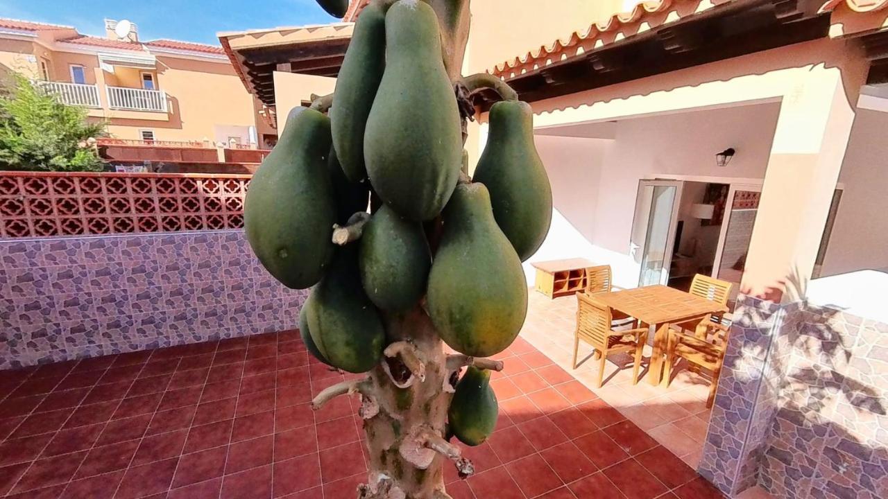 La Casa De La Papaya, By Comfortable Luxury คอร์ราเลโฮ ภายนอก รูปภาพ